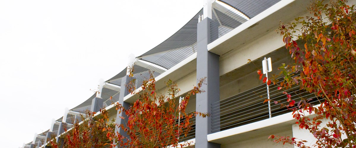 Trees with red leaves lining parking structure thumbnail